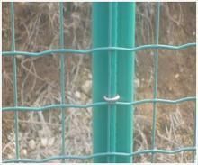 供應養殖防護用鐵絲網 筑起家禽養殖的安全與高效屏障