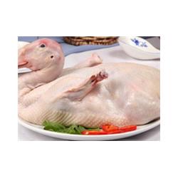 蘇州北半球食品 連接衢州生態養殖與高效配送的家禽供應鏈